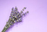 Fototapeta Lawenda - Many lavender flowers on the purple background.