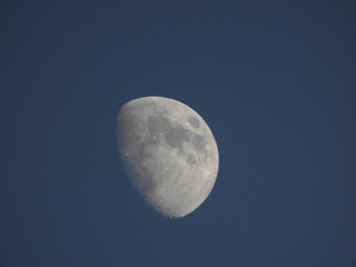 Poster - Grey half-moon in the blue sky at night