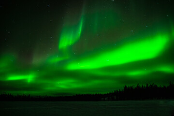 Canvas Print - Northern lights at Yellowknife, Canada