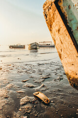 Sticker - Vertical shot of sandy coast with boats on the background