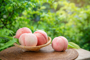 Wall Mural - Sweet White Peach fruits in blur background, Fresh white peach in Bamboo basket on wooden table in garden.