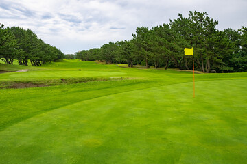 Wall Mural - View of Golf Course with beautiful putting green. Golf course with a rich green turf beautiful scenery.