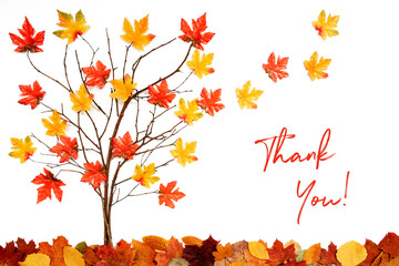 Wall Mural - branches building tree with bright colorful leaf decoration. red and yellow leaves flying away due t