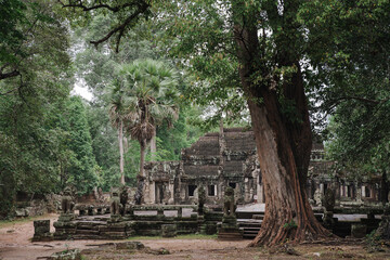 Poster - Entrance of Banteay Kdei Temple in Angkor Wat complex in Cambodia