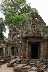 Sticker - Angkor Wat temple complex in Siem Reap, Cambodia