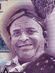 Wall Mural - Inkosi Ya Makhosi M'Mbelwa II portrait on Malawi 20 kwacha banknote close up macro, Malawian money closeup