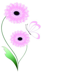 Wall Mural - Floral abstract background with gerberas and butterfly, design element.