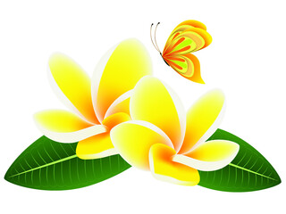 Wall Mural - Flowers frangipani (Plumeria) with leaves and a butterfly.