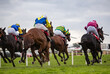 Race horses and jockeys racing towards the finish line