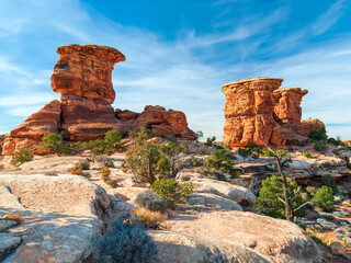 Wall Mural - Red sandstone formations at the Pothole Point Area.Canyonlands National Park.Utah.USA