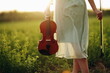 Violin in the hands of a young female violinist in the sunset light.