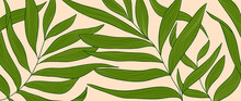 Luxury Tropical Leaf And Nature Line Art Ink Drawing Background Vector. Leaves And Floral Pattern  Vector Illustration.