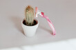 a pink razor with blades is tilted on a green cactus in a white pot with long prickly needles