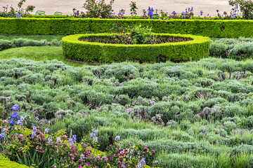 Flowers in the public Paris garden: Tuileries Park. Catherine de Medici created Garden in 1564. Paris, France.