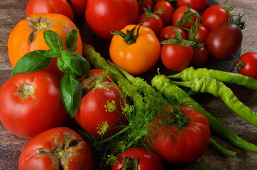 Red, ripe tomatoes and basil, dill on a dark rustic background. Harvesting organic tomatoes