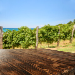 Canvas Print - Wooden desk of free space and vineyard 