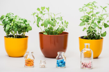 Wall Mural - selective focus of green plants in flowerpots near pills in glass bottles on white background, naturopathy concept