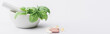 panoramic shot  of green leaves in mortar near pills on white background, naturopathy concept