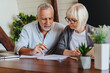 © InsideCreativeHouse - Mature couple with financial documents in home interior