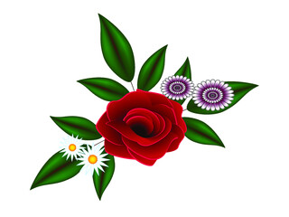 Wall Mural - Red rose with daisies on a white background.
