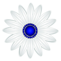 Wall Mural - Abstract daisy on a white background.