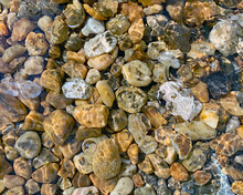 Looking Down At Stones And Pebbles In The Water