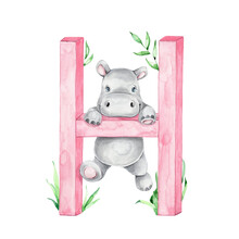 Cute Hippo And Pink Letter "H"; Watercolor Hand Draw Illustration; Can Be Used For Kid's Alphabet; With White Isolated Background