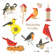Bird Watching Feeding Vector Icons Collection