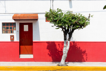 Casa con árbol