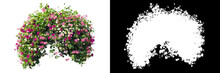 Flower Bush On White Background. Clipping Mask Included.