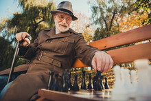 Low Angle View Photo Of Old Man Professional Retired Chess Player Sit Bench Town Sunshine Fall Park Play Game Have Checkmate Wear Cap Headwear