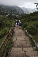 Sticker - Hiking in the mountains