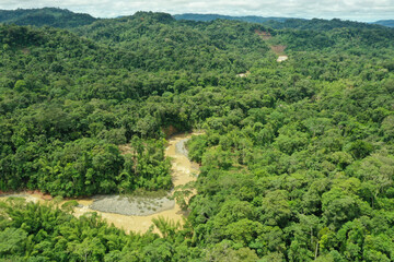 Wall Mural - Aerial view of a large and fast flowing tropical river with muddy brown water in a rainforest