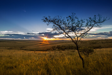 Sunset at fields of Serra da Canastra National Park - Minas Gerais - Brazil