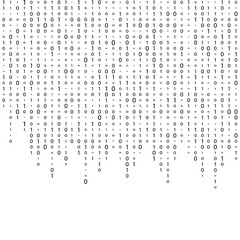 Wall Mural - matrix background vector. binary code matrix. black and white digital background with digits on scre