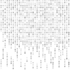 Wall Mural - matrix background vector. binary code matrix. black and white digital background with digits on scre