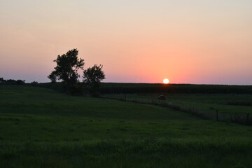 Wall Mural - Summer Sunset