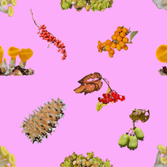 Wall Mural - Edible berries, nuts and mushrooms. Seamless pattern.