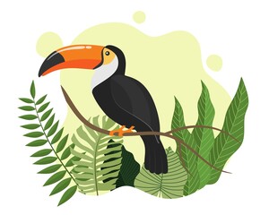 Wall Mural - Tropical bird toucan cartoon animal design.