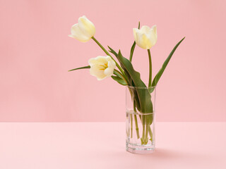 Wall Mural - Bouquet of yellow tulips in vase on a pink background.