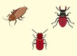 vector illustration of a set of beetle