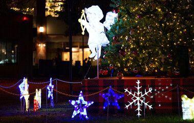 Wall Mural - Night view of the light of the park of Christmas