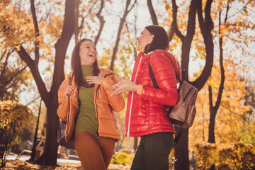 Wall Mural - Two girls best buddies travel countryside have fun rest relax tell say comic jokes laughing wear outerwear backpack bag in fall forest park