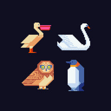 Birds Pixel Art Set. Pelican, Swan, Owl And Penguin. Logo, Stickers And Embroidery Design. Cartoon Icon For Children's Mobile Applications, Book Illustration. Game Assets. Isolated Vector. 
