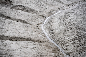 Wall Mural - The beautiful and curious tidal mud flat.