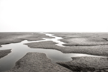 Wall Mural - The beautiful and curious tidal mud flat.