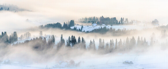 Naklejka na meble Zimowy Las w białej mgle