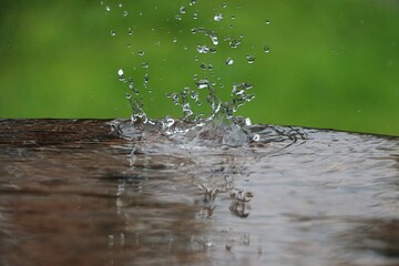 Wall Mural - rain is falling in a wooden table full of water in the garden
