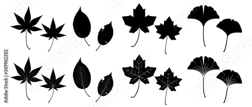 いろいろな秋の落ち葉のイラスト モノクローム Stock Vector Adobe Stock