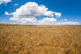 Fototapeta Sawanna - Dry fields at Serra da Canastra National Park - Minas Gerais - Brazil